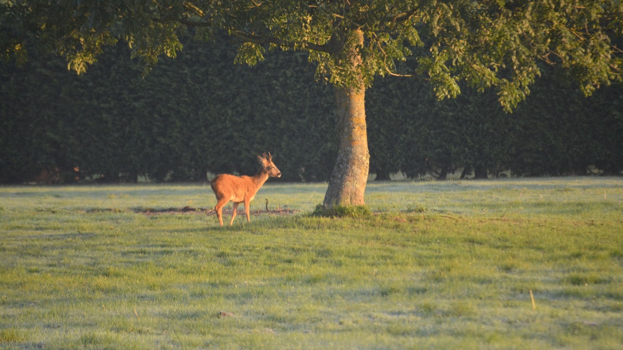 Photo of Others in Liverton