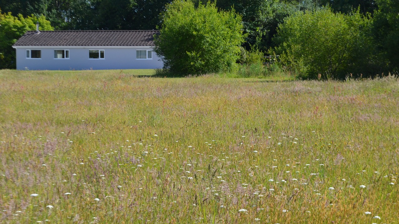 Photo of Outdoor in Liverton