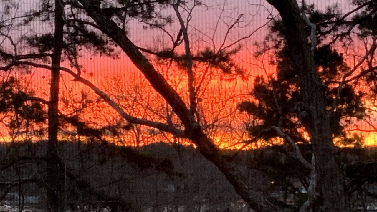 Photo of Outdoor in Mount Gilead