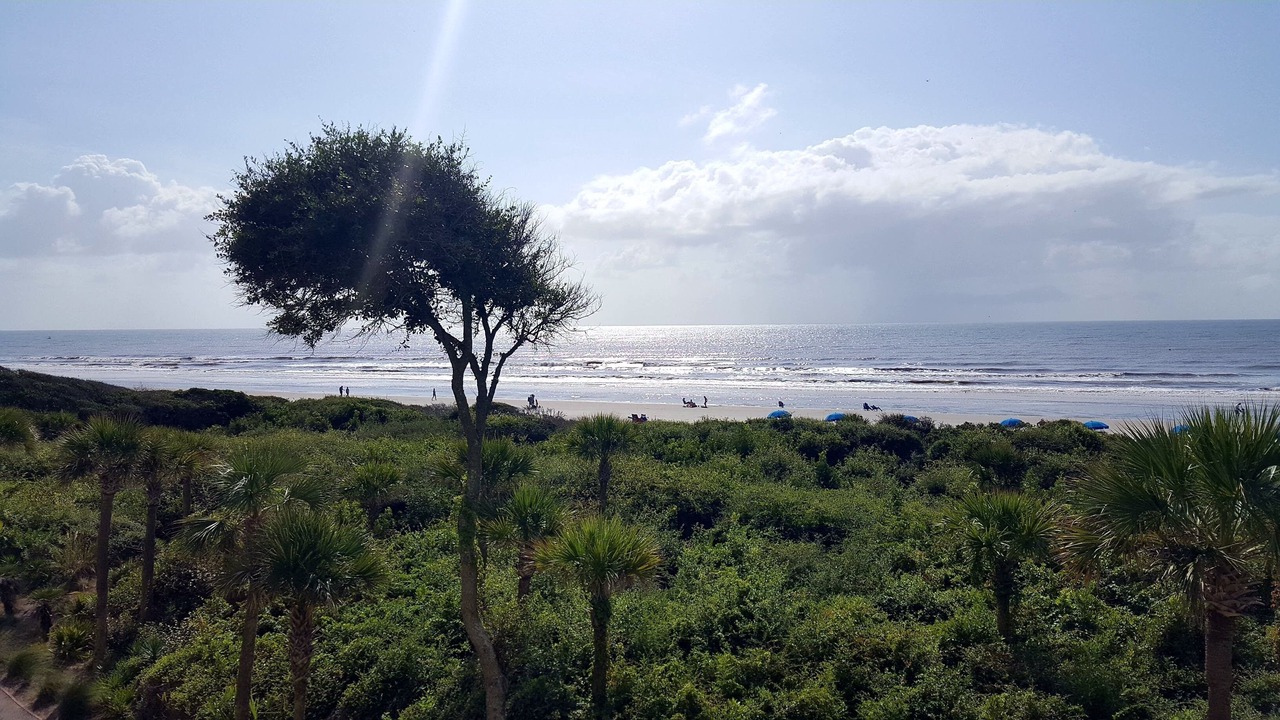 Photo of Others in Kiawah Island