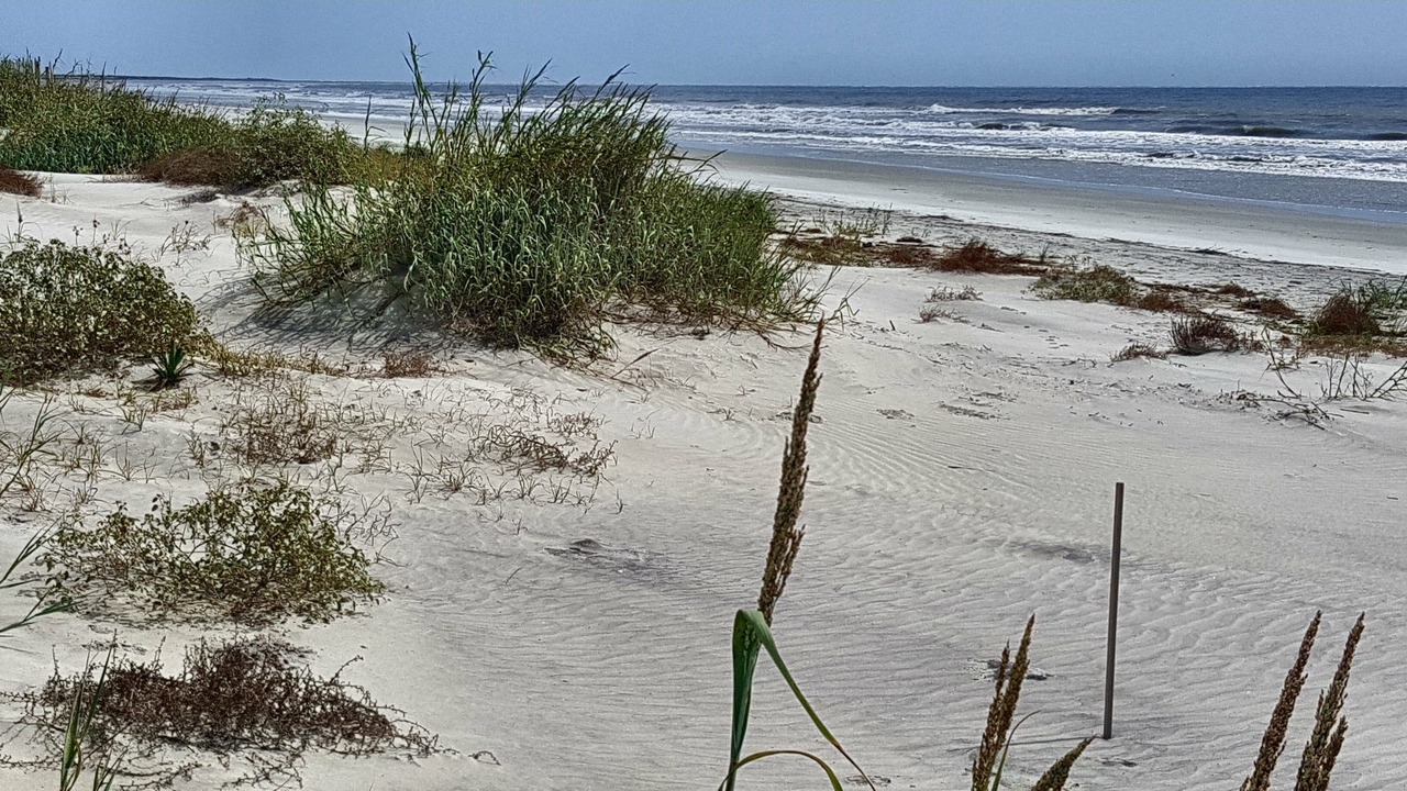 Photo of Others in Kiawah Island