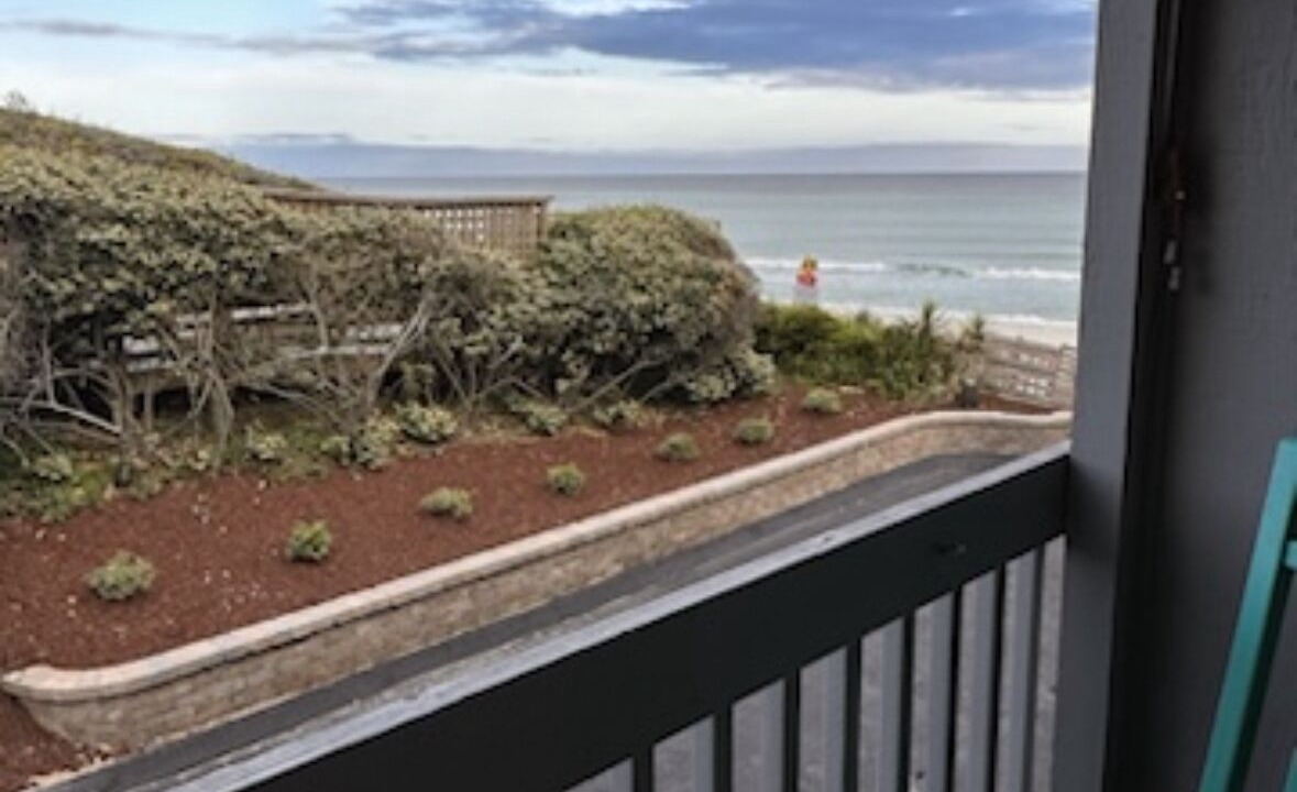 Photo of Others in Pine Knoll Shores
