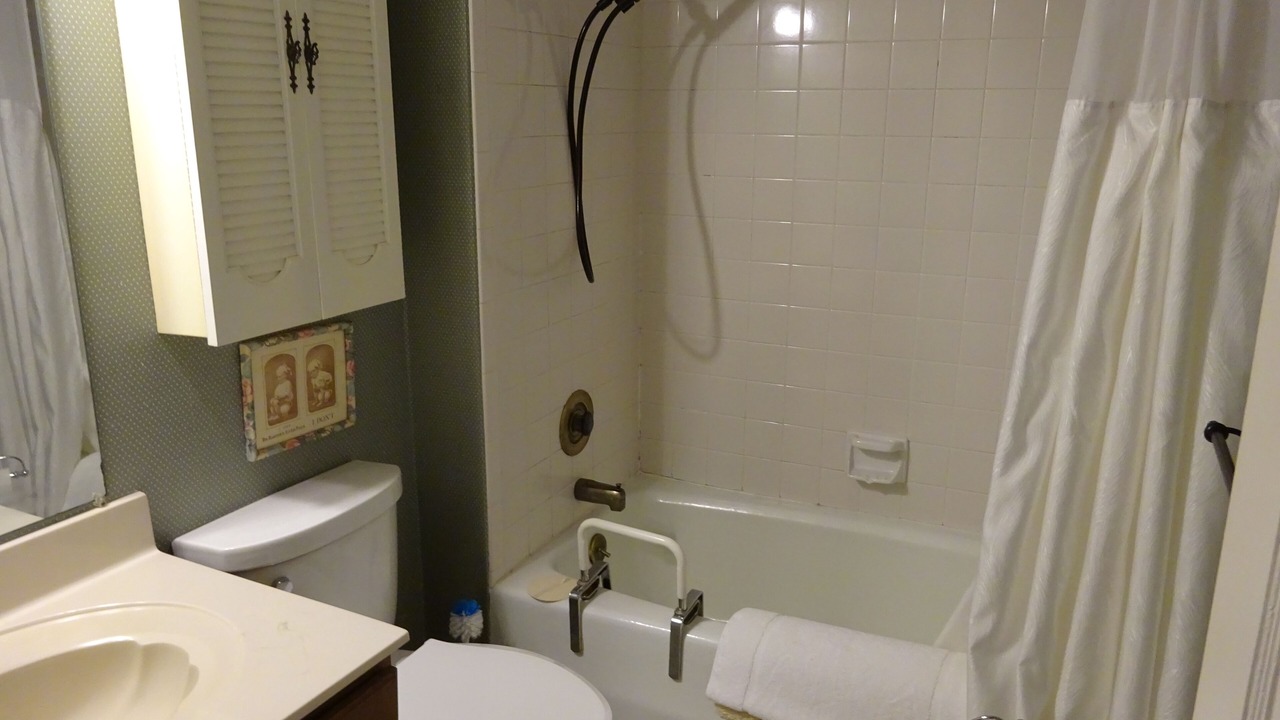 Photo of Bathroom in Hendersonville