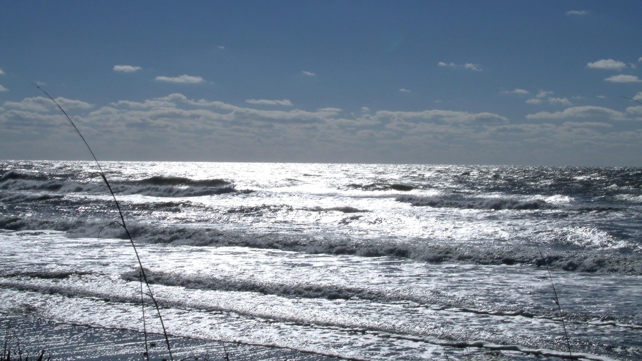Photo of Others in Long Beach