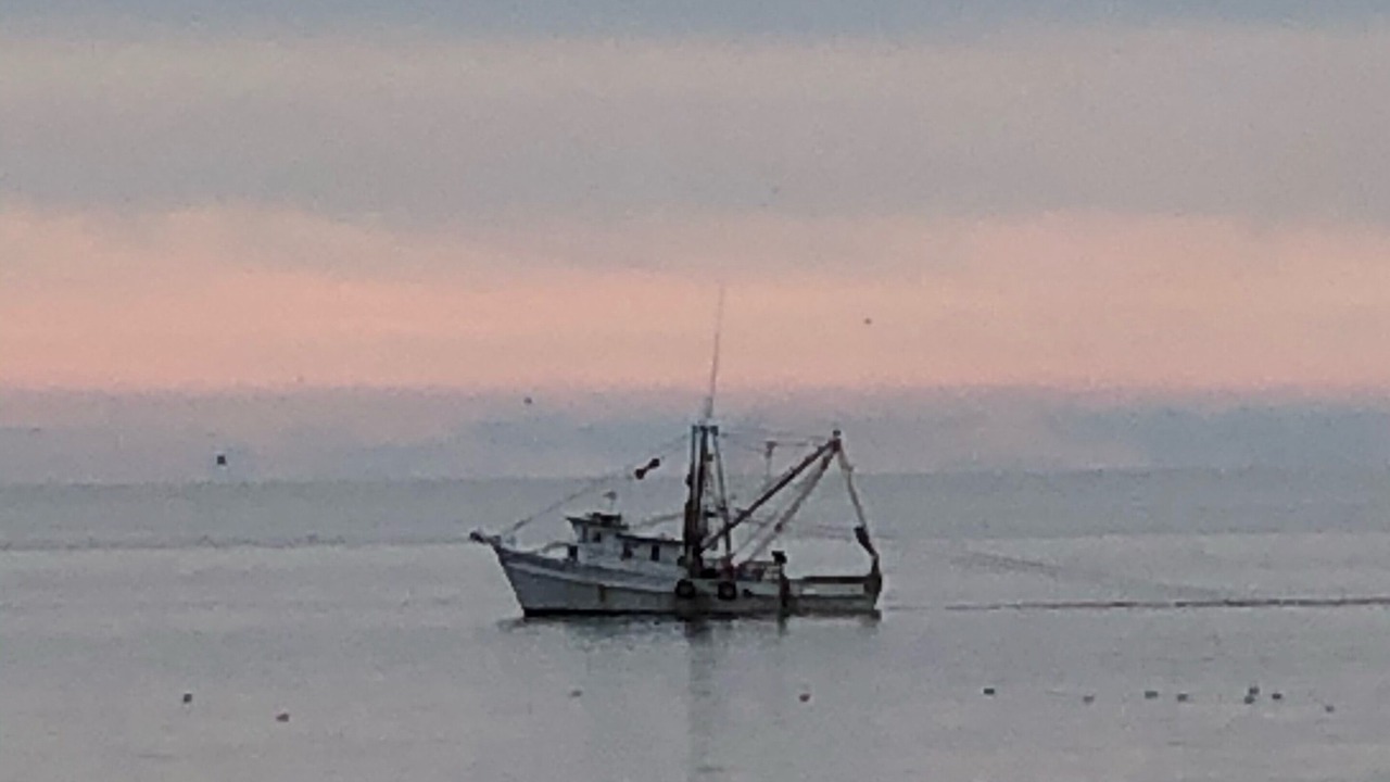 Photo of Others in Long Beach