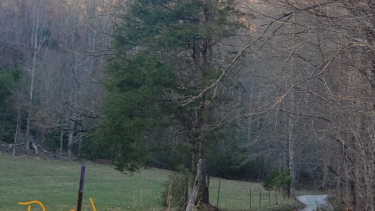 Photo of Others in Franklin