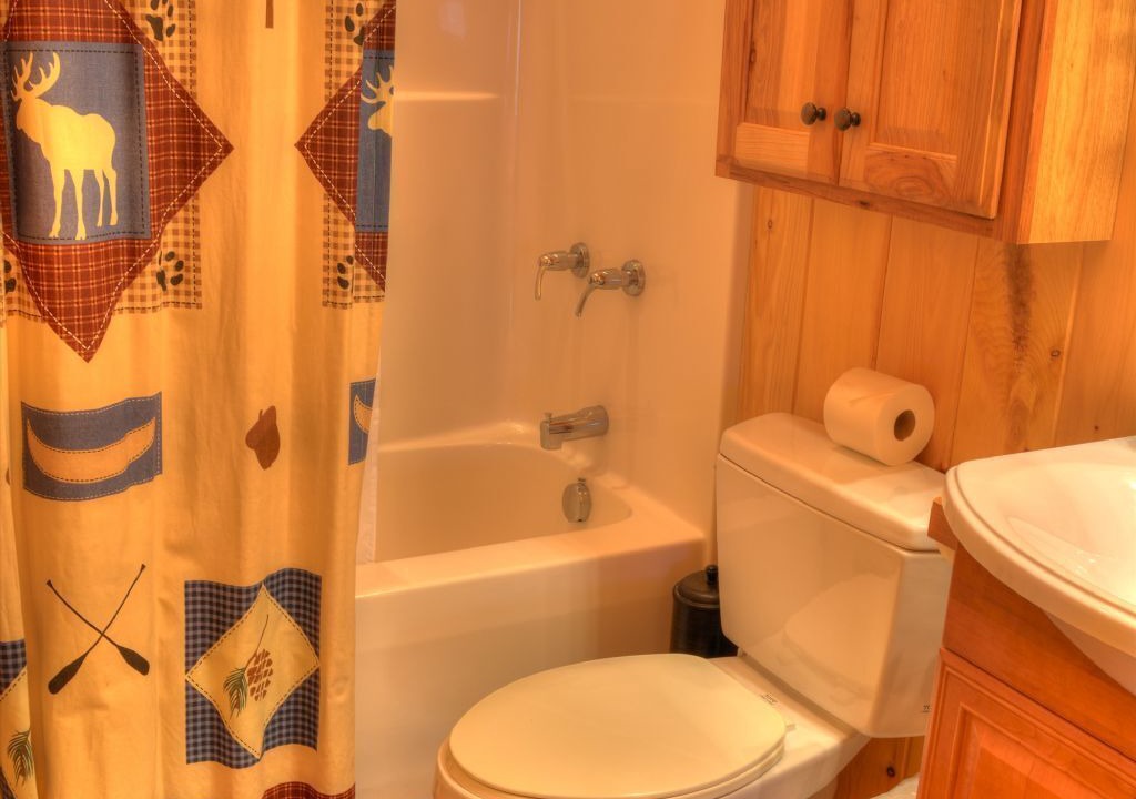 Photo of Bathroom in Buck Mountain