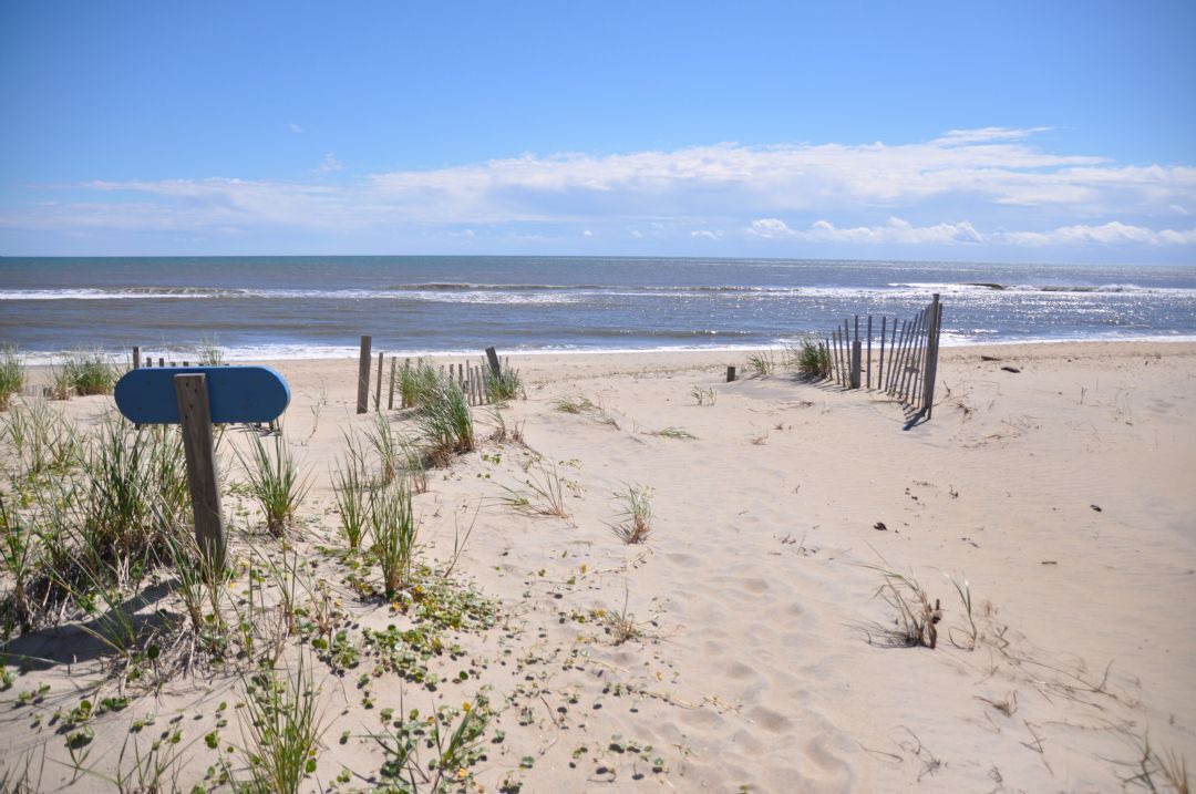 Photo of Others in South Nags Head