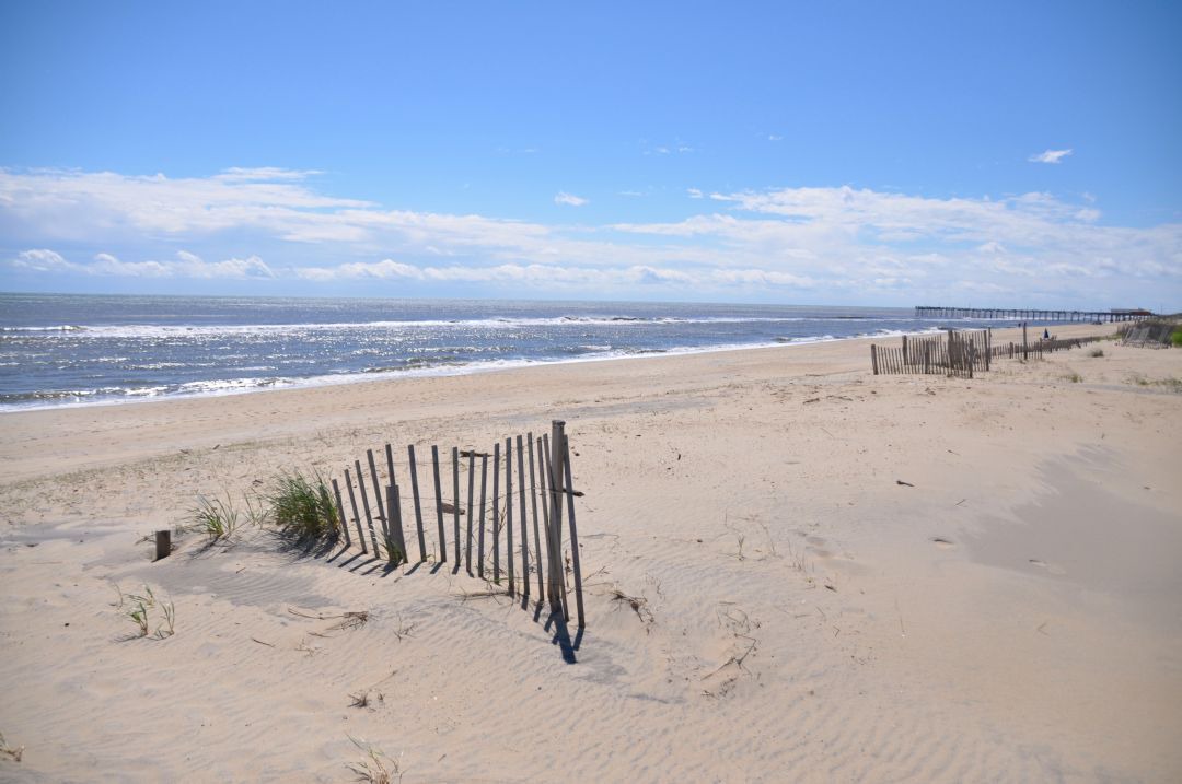 Photo of Others in South Nags Head