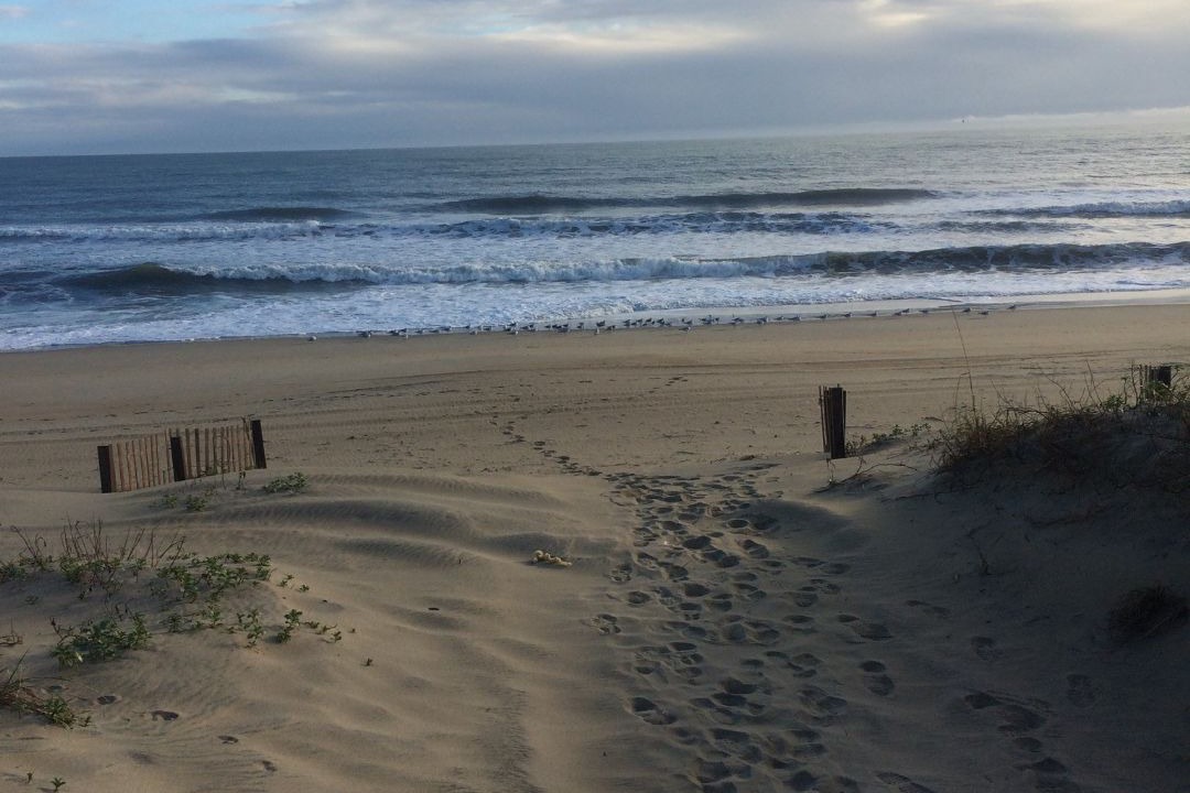 Photo of Others in South Nags Head