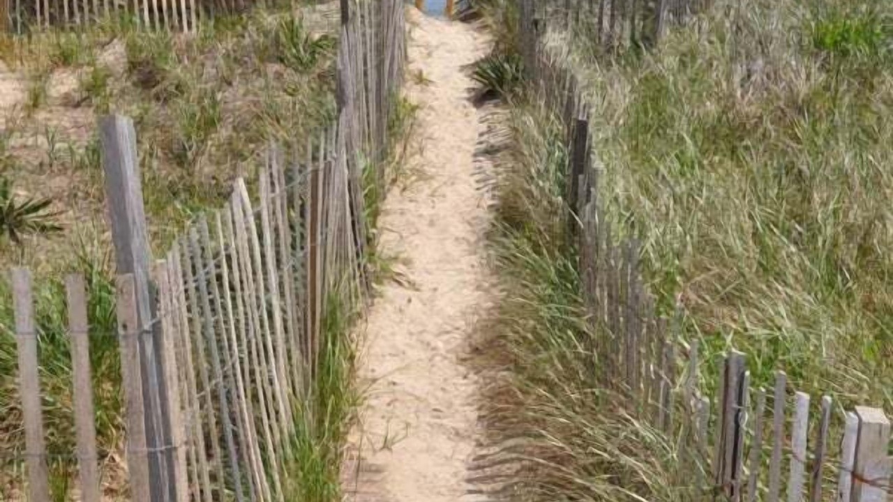 Photo of Others in South Nags Head