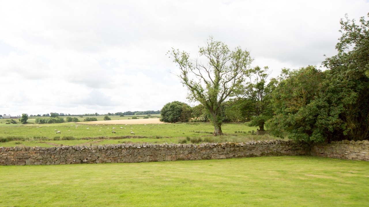 Photo of Outdoor in Hallington