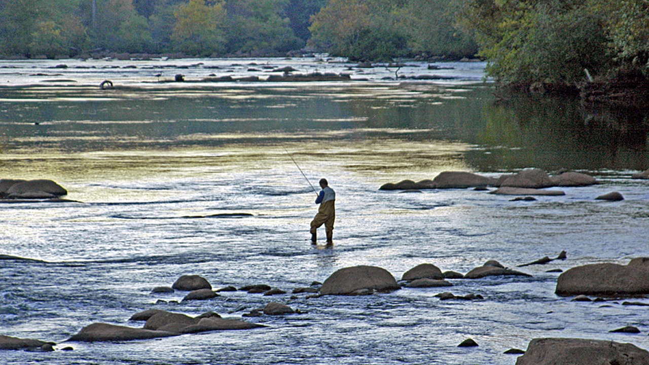 Photo of Others in Murphy