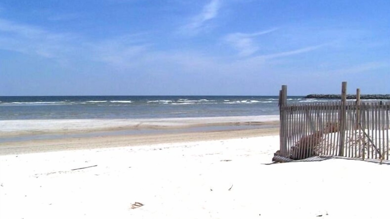 Photo of Others in Cedar Island