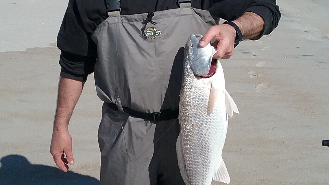 Photo of Others in Cedar Island