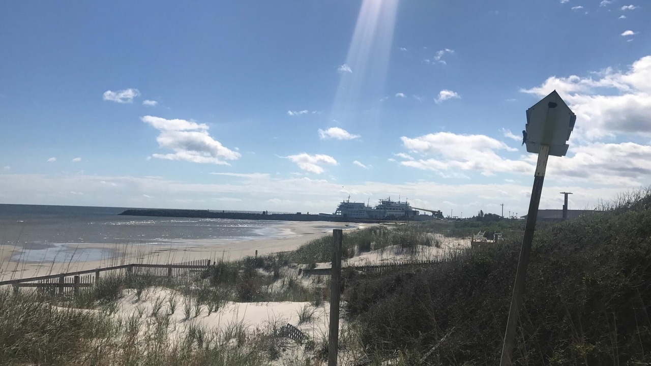 Photo of Others in Cedar Island