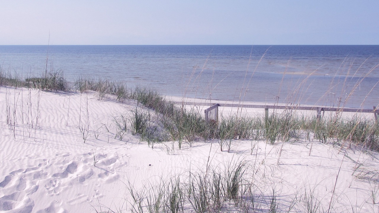 Photo of Others in Cedar Island