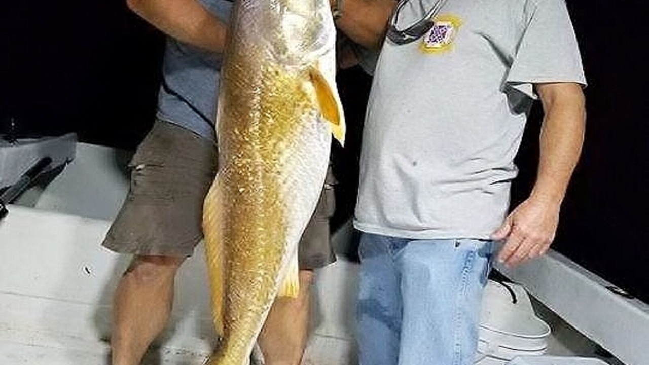 Photo of Others in Cedar Island