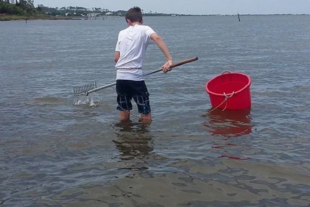 Photo of Others in Cedar Island