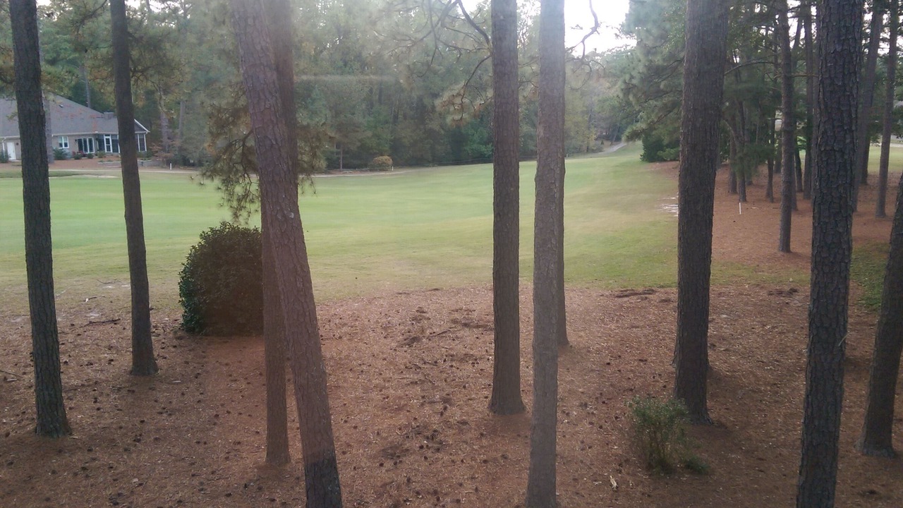 Photo of Outdoor in Pinehurst