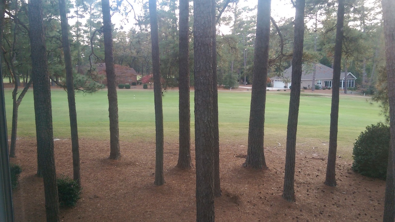 Photo of Outdoor in Pinehurst