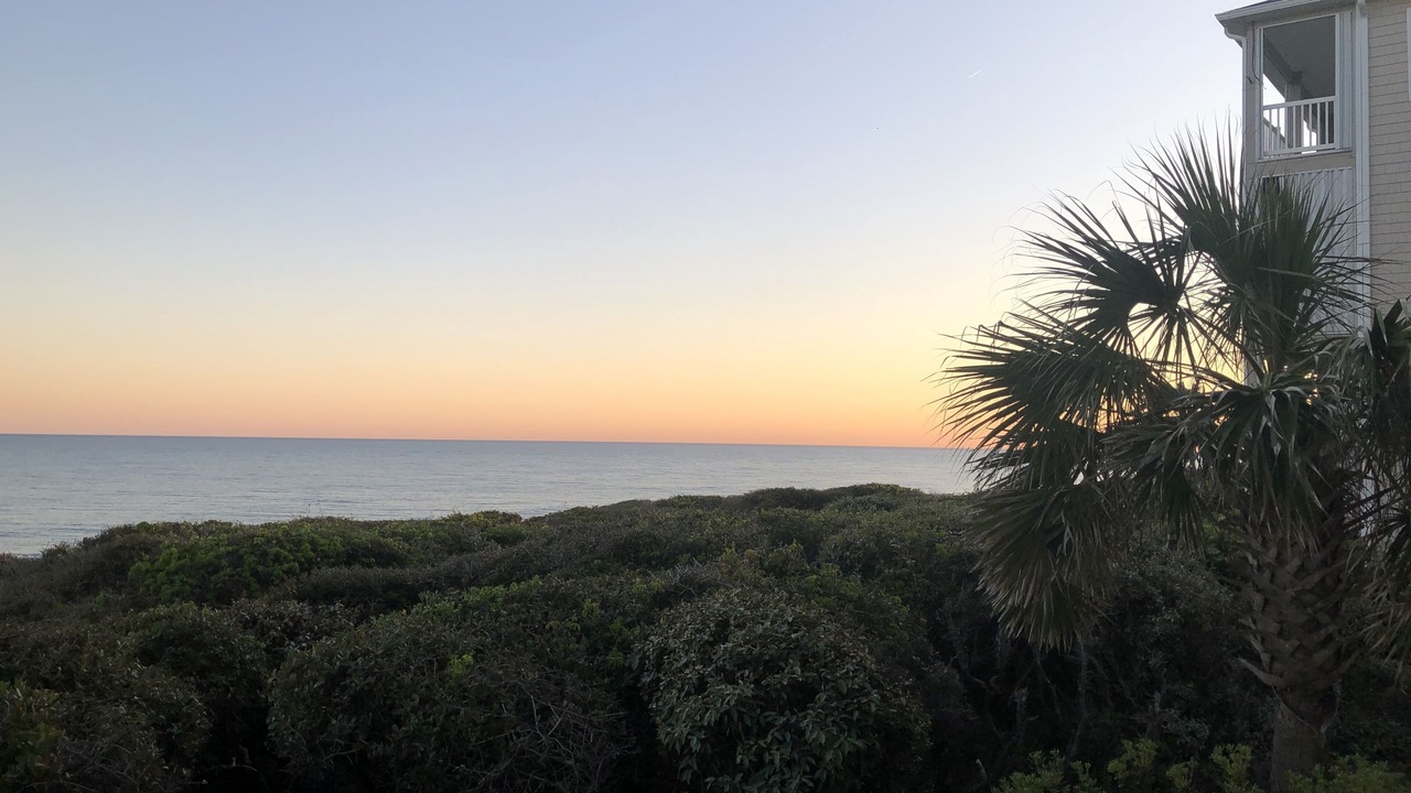 Photo of Others in Indian Beach