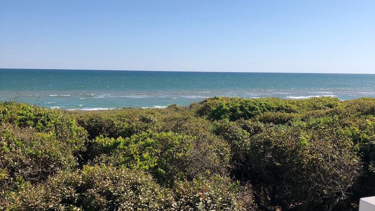 Photo of Others in Indian Beach