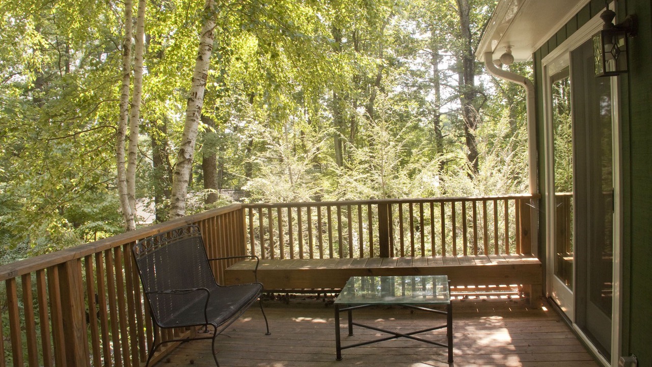 Photo of Others in Saluda