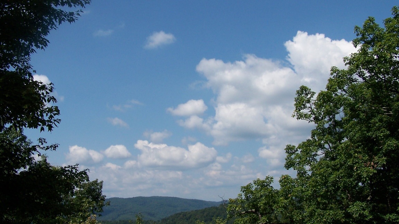 Photo of Others in Purlear