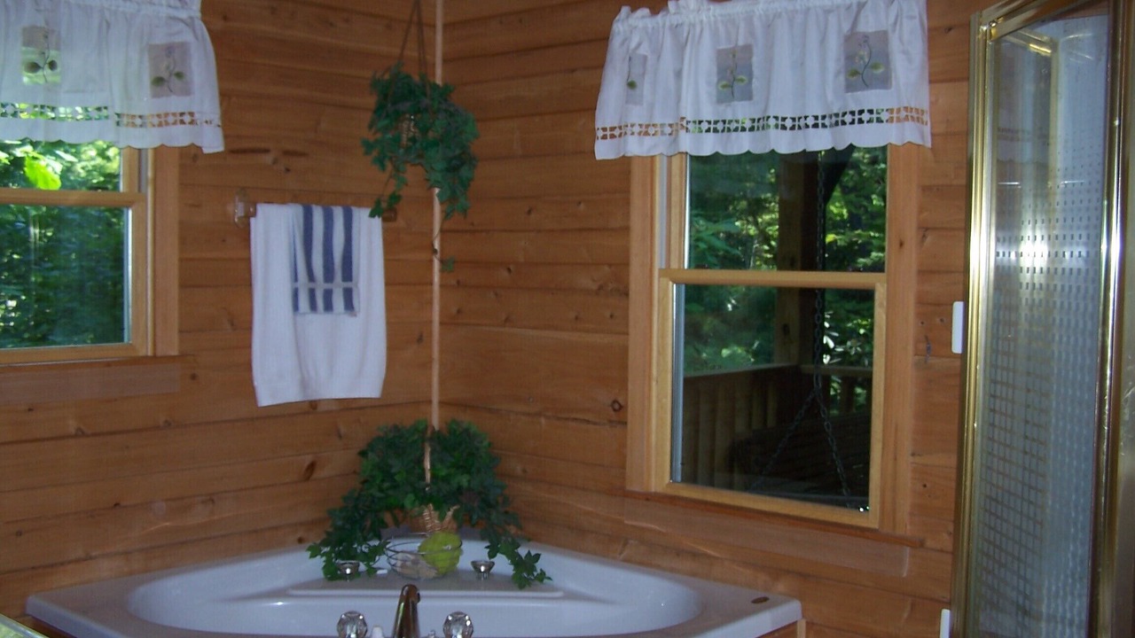 Photo of Bathroom in Purlear