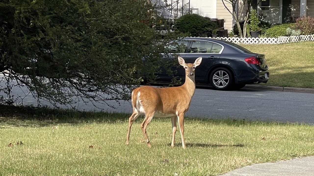 Photo of Others in High Point