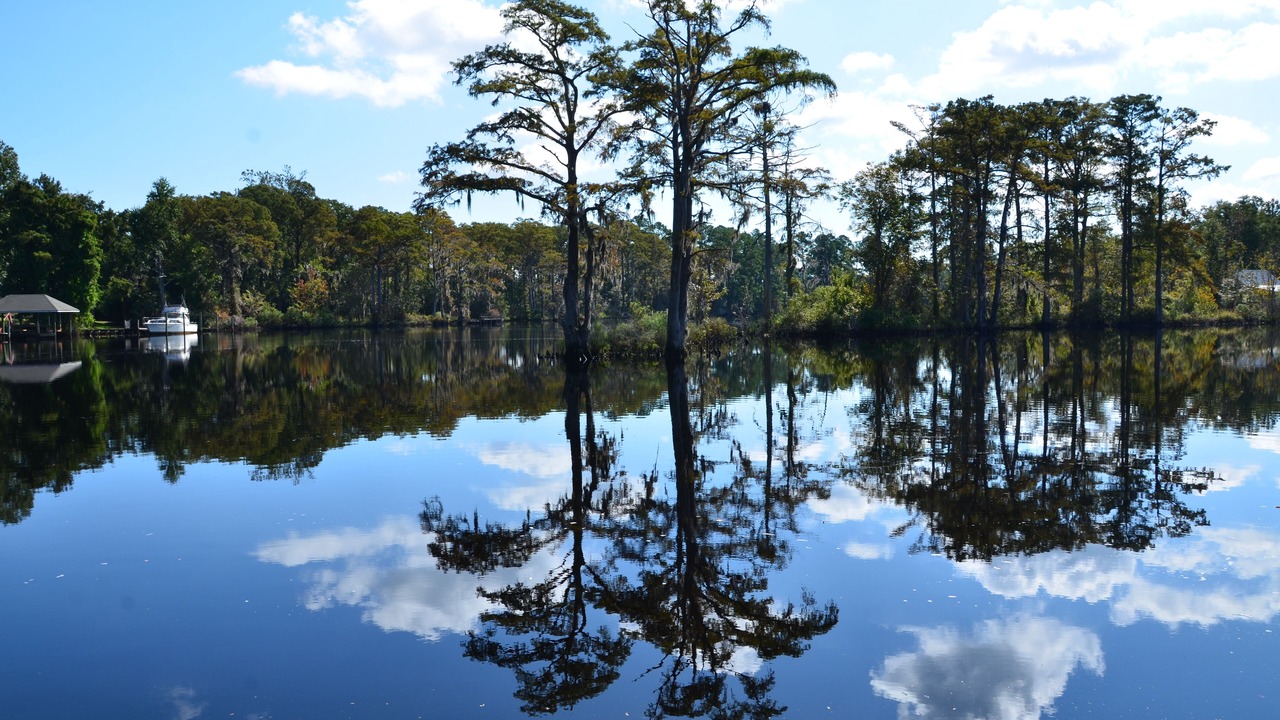 Photo of Outdoor in Brices Creek