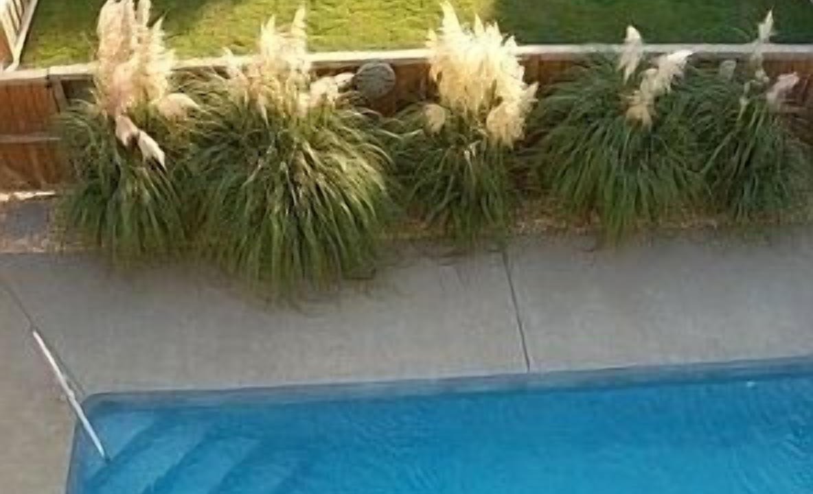 Photo of Outdoor in Nags Head