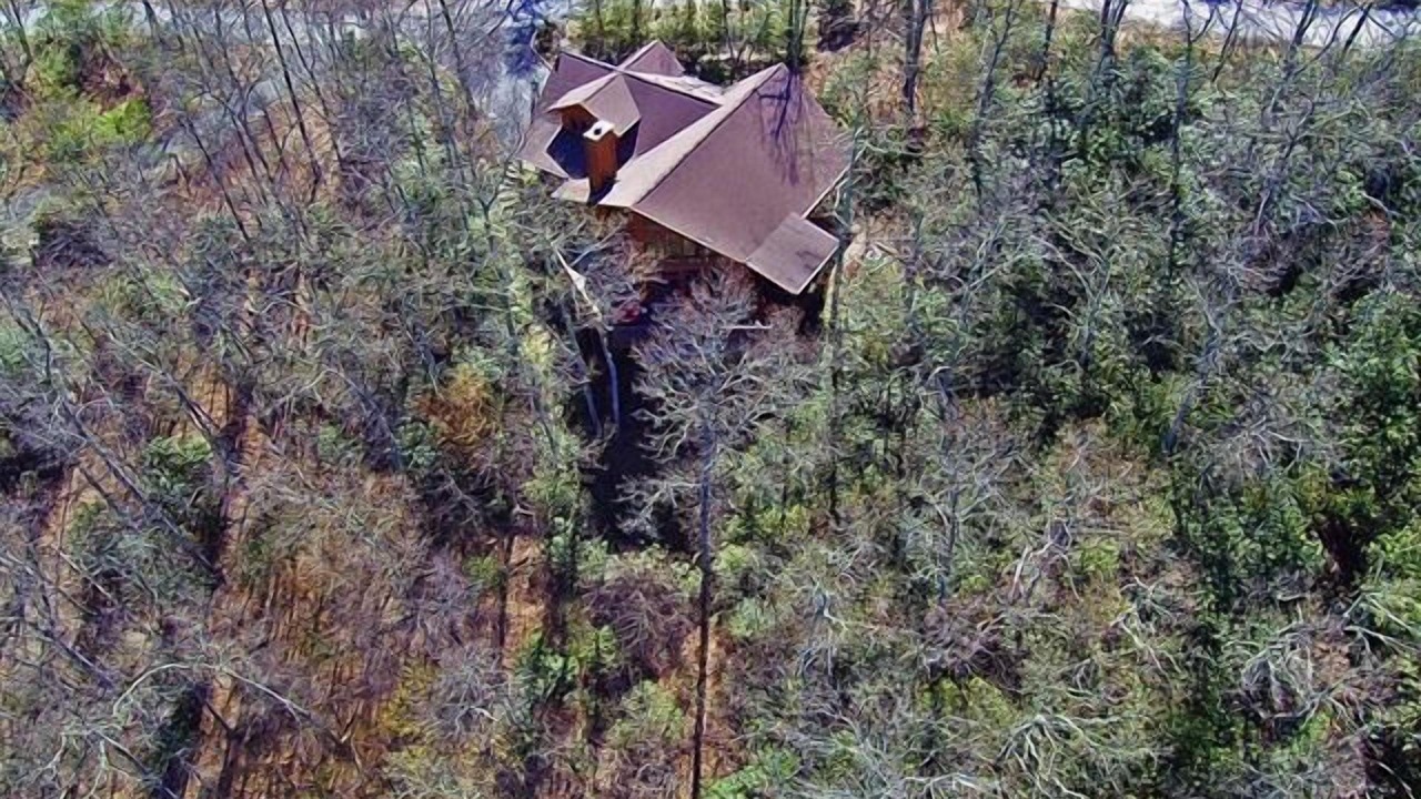 Photo of Outdoor in Waynesville