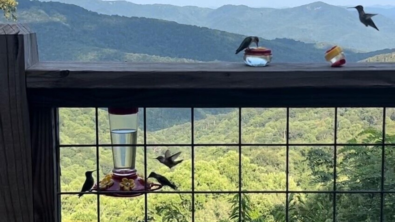 Photo of Outdoor in Blowing Rock