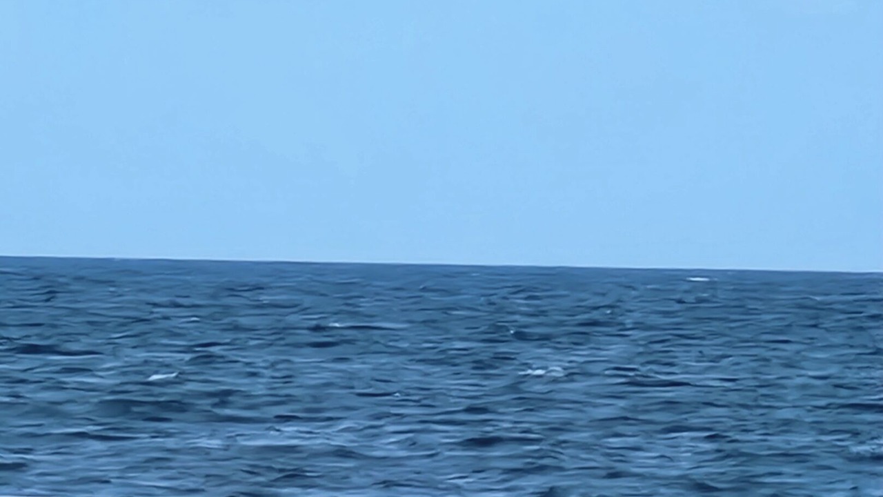 Photo of Others in Holden Beach