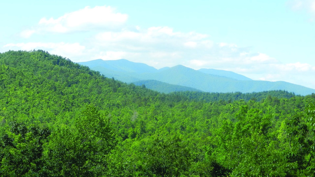 Photo of Outdoor in Black Mountain