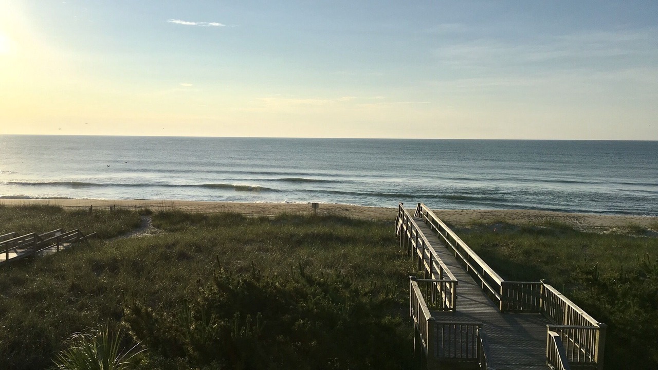 Photo of Others in Carolina Beach