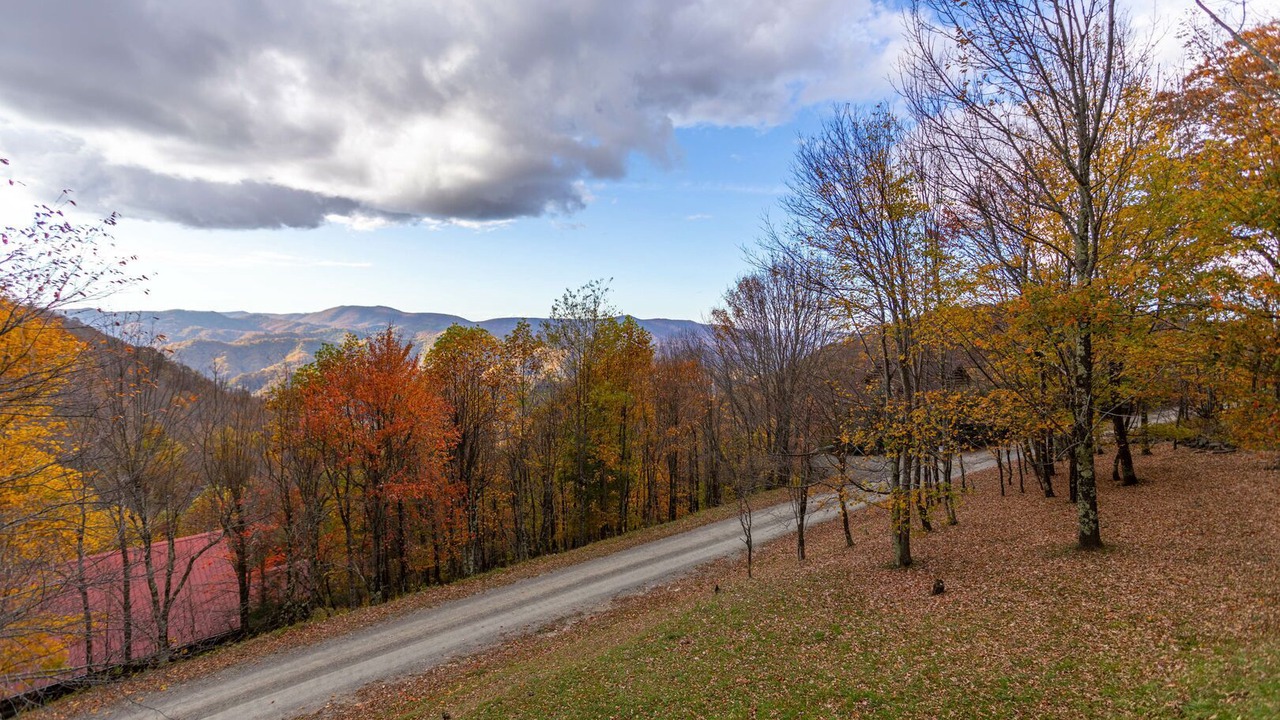 Photo of Outdoor in Zionville