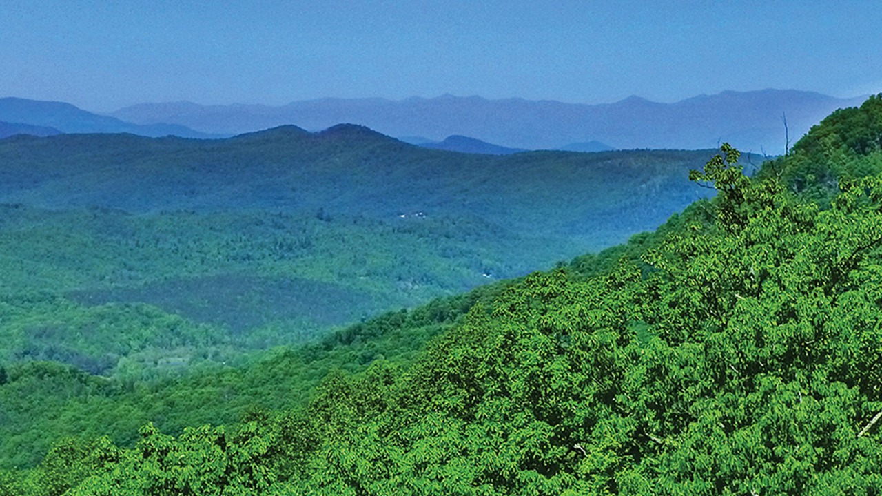 Photo of Others in Bostic