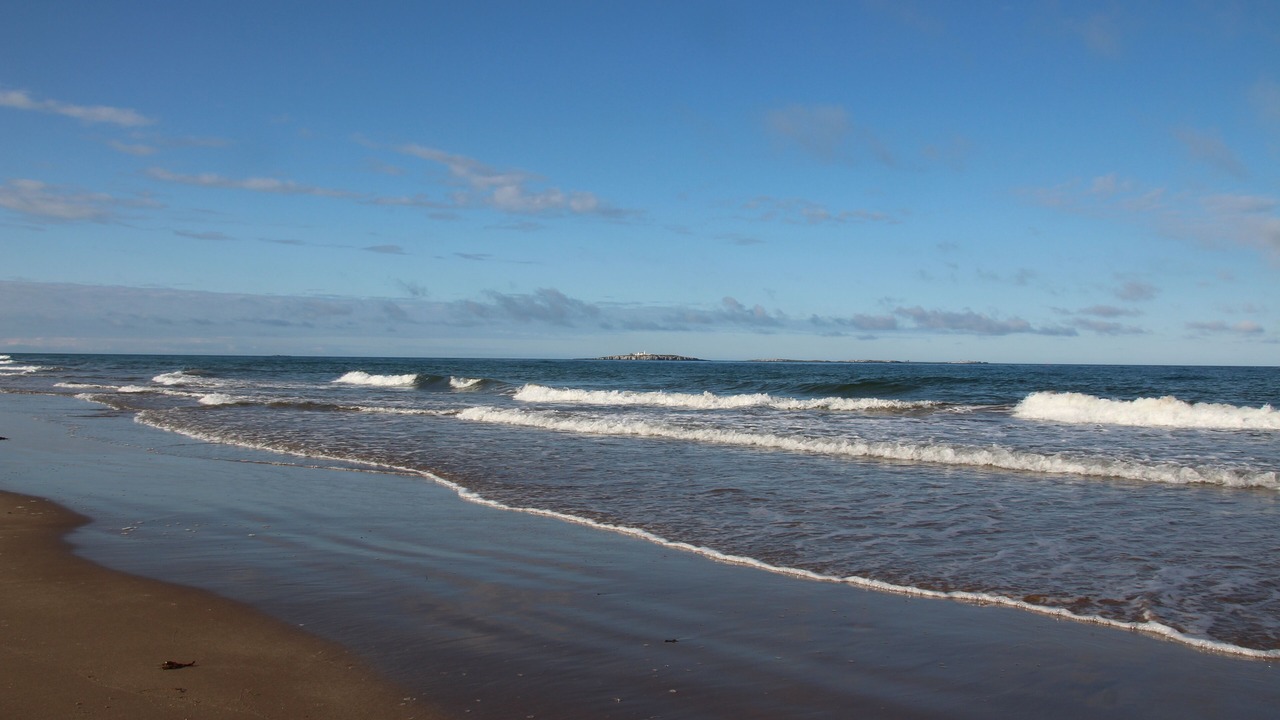 Photo of Others in Seahouses