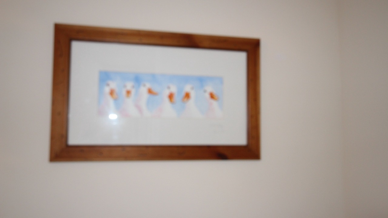 Photo of Others in Seahouses