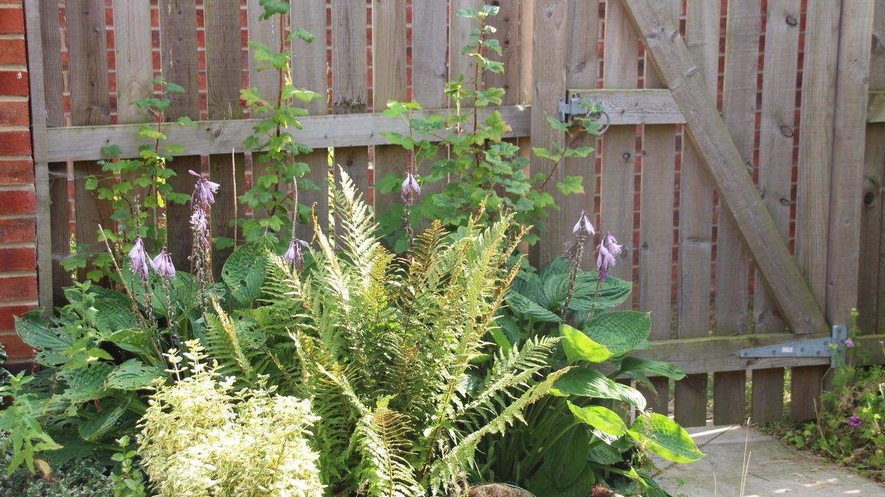 Photo of Outdoor in Seahouses
