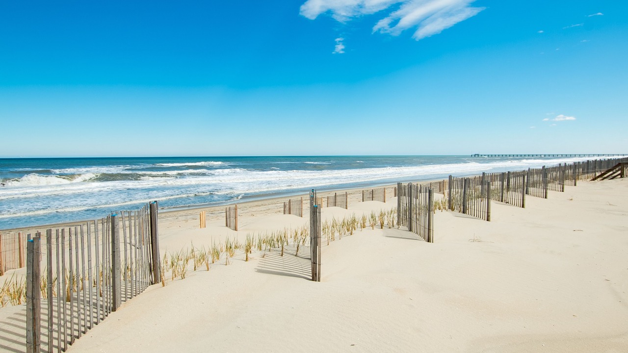 Photo of Others in Carolina Dunes
