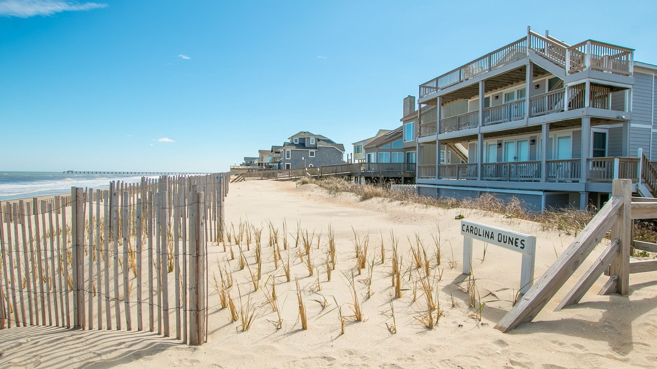 Photo of Others in Carolina Dunes