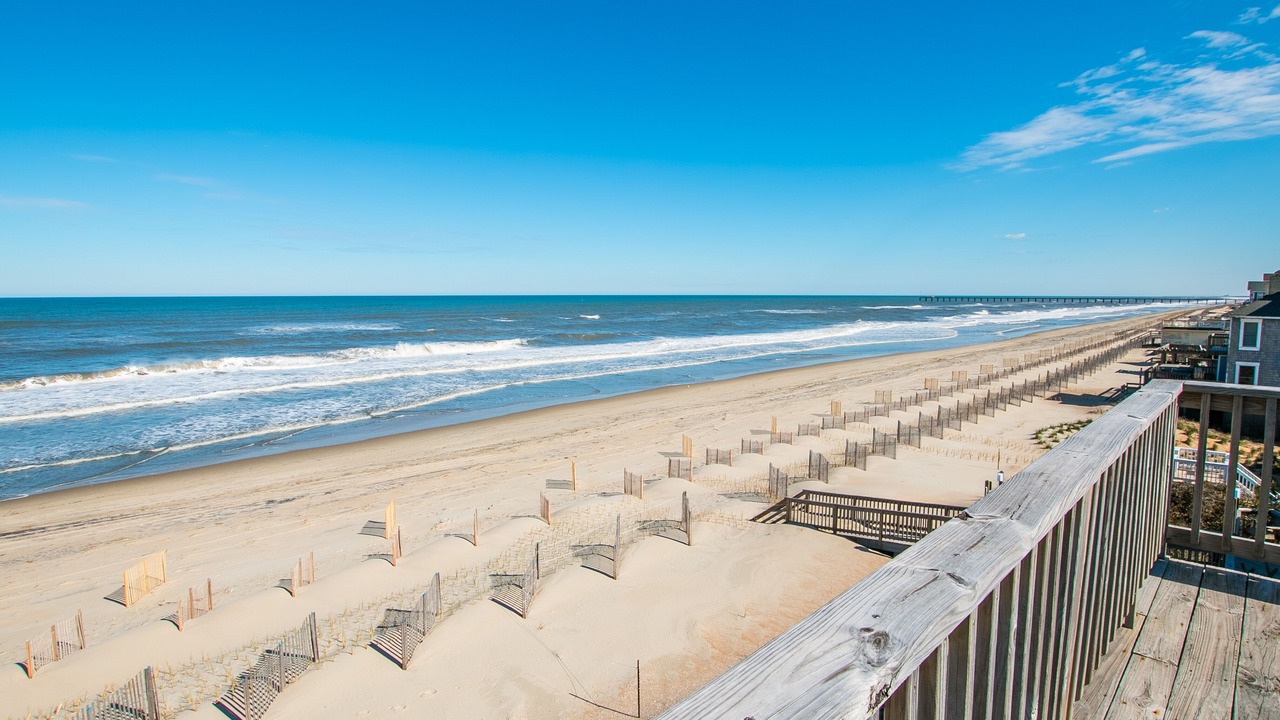 Photo of Others in Carolina Dunes