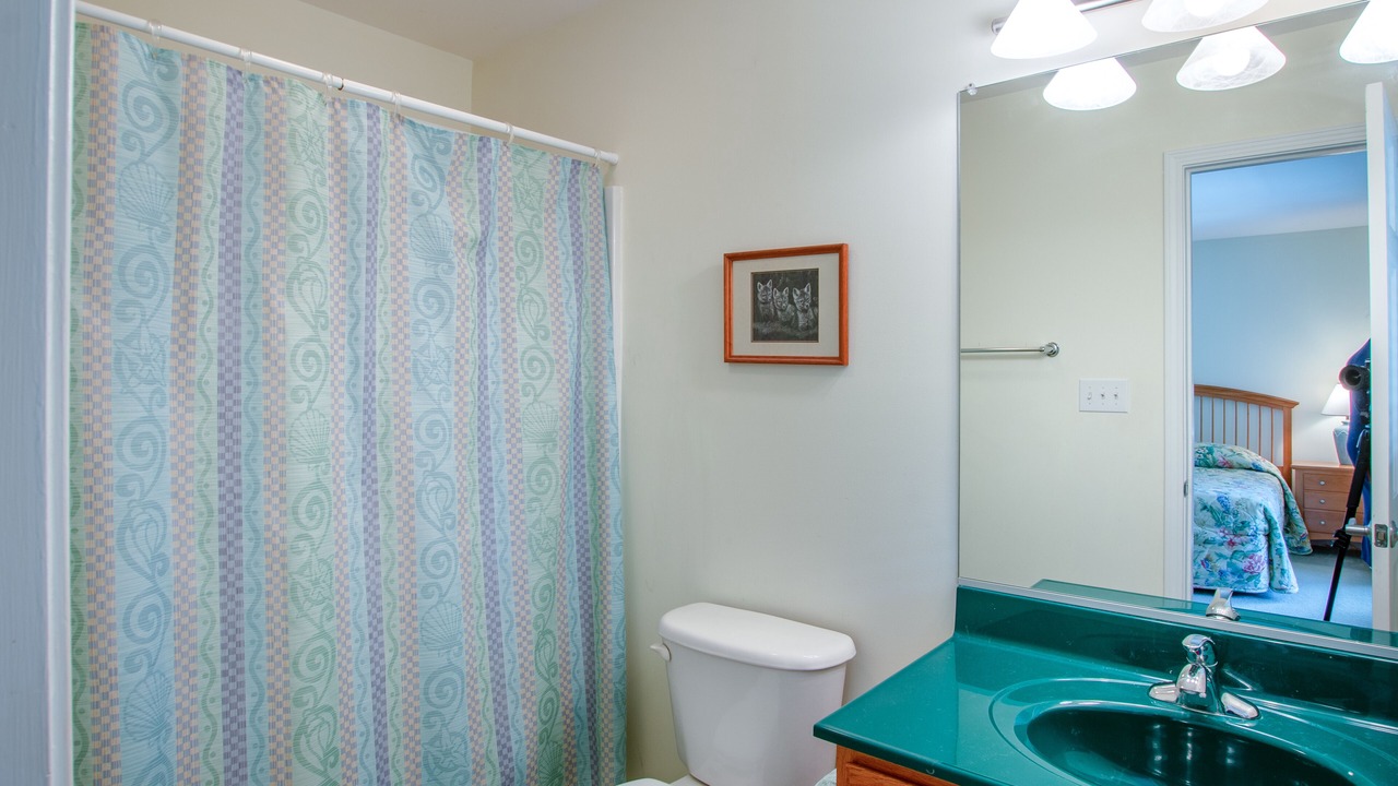 Photo of Bathroom in Duck