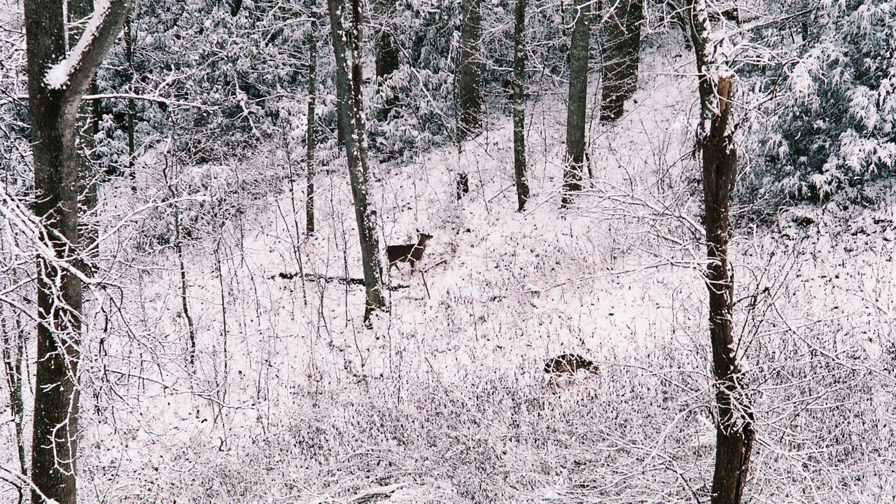 Photo of Others in Banner Elk