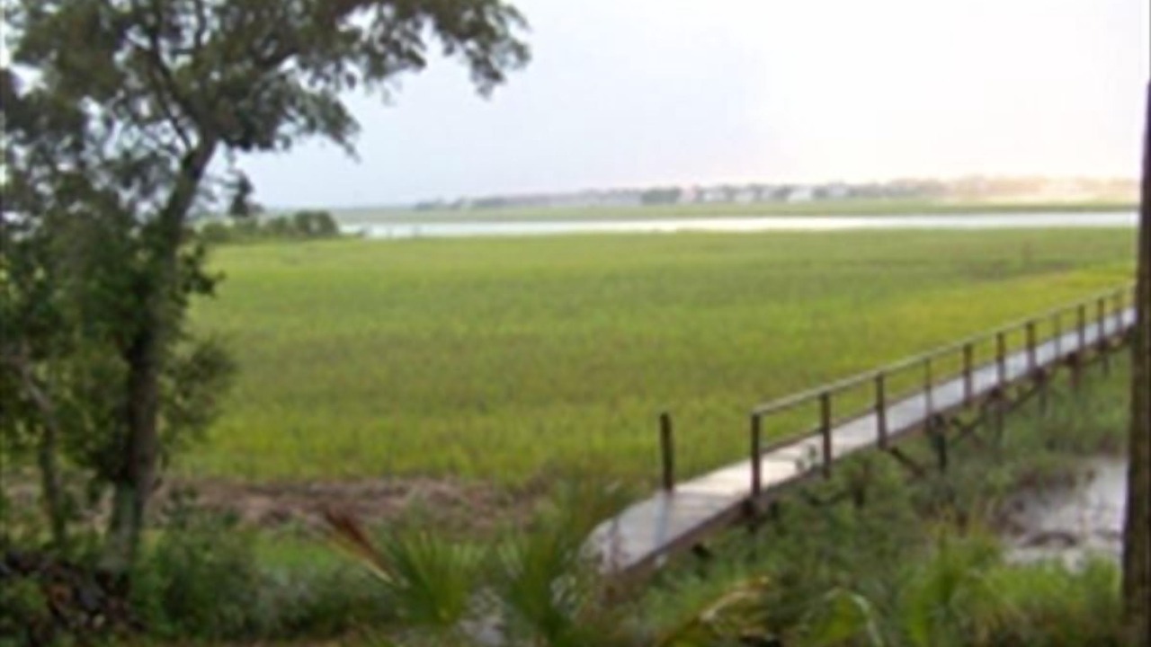 Photo of Outdoor in Folly Beach