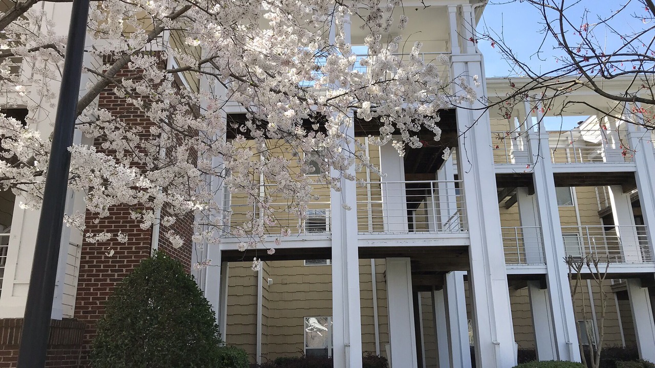 Photo of Outdoor in Cornelius